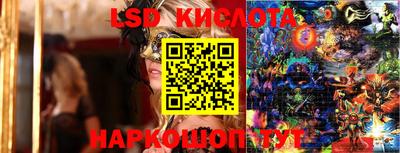 крисы Севастополь