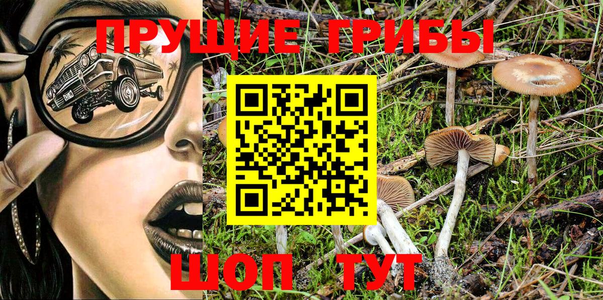 Галлюциногенные грибы Psilocybine cubensis  Вход с VPN  Псилоцибиновые грибы Psilocybine cubensis  Печора 